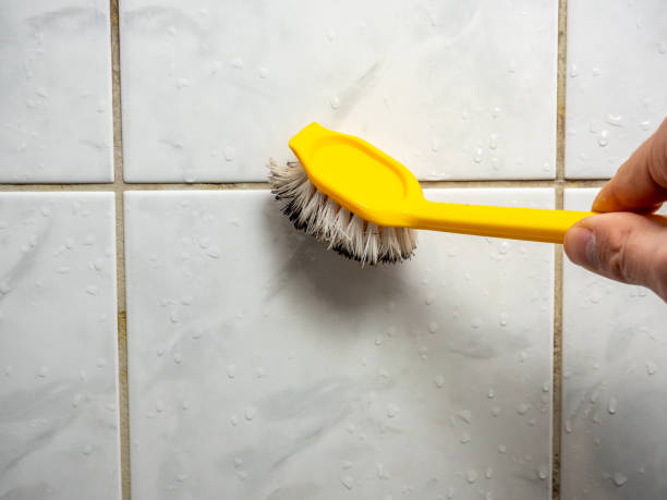 Best Water Damage Restoration  in San Dimas, CA