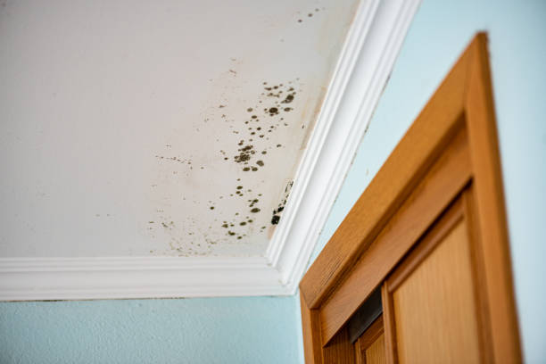 Water Damage Restoration in San Dimas, CA